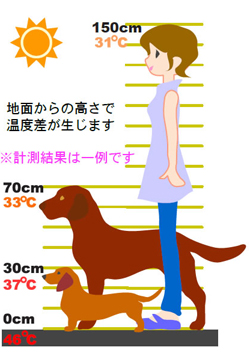 人と動物との体感気温の差